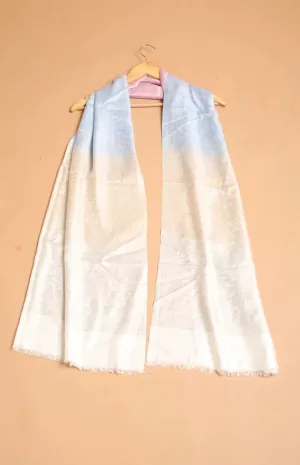 Ombre Modal Wrap