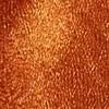 Pleated Long Bermuda